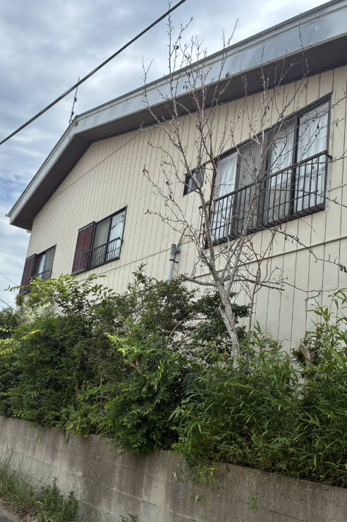 ヤシの木・雑木の伐採を行いました|施工時間1時間・費用2万円 After